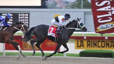 Ganador del Caribe en Venezuela regresó a la senda victoriosa en su país de origen Ganador del Caribe en Venezuela regresó a la senda victoriosa en su país de origen