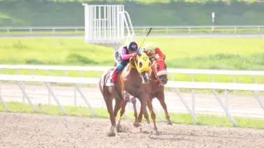 La Rinconada se alista para el retorno de un ejemplar doble coronado La Rinconada se alista para el retorno de un ejemplar doble coronado