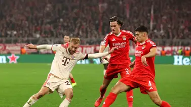 Real Madrid llega a un jugoso acuerdo con esta promesa del Benfica Real Madrid llega a un jugoso acuerdo con esta promesa del Benfica