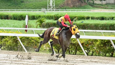 Impacto Inminente: El figurador selectivo que montó Santana Jr. vuelve al ruedo