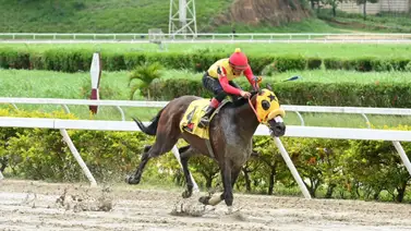 Impacto Inminente: El figurador selectivo que montó Santana Jr. vuelve al ruedo Impacto Inminente: El figurador selectivo que montó Santana Jr. vuelve al ruedo