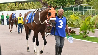 Ojo al Debut: Esta hija de Champlain que podría ser la sorpresa del 5y6 nacional