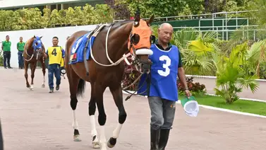 Ojo al Debut: Esta hija de Champlain que podría ser la sorpresa del 5y6 nacional Ojo al Debut: Esta hija de Champlain que podría ser la sorpresa del 5y6 nacional