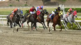 Regresa el "Dato Atrasado": Ojo con su reaparición en La Rinconada (+Videos)