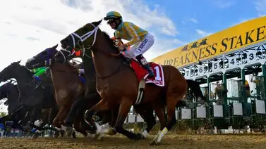 Transmisión del Preakness Stakes se acercó al mínimo histórico Transmisión del Preakness Stakes se acercó al mínimo histórico