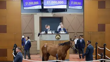 Propietarios libaneses causan sensación en la venta de Midlantic al comprar seis potros en $2,795,000 Propietarios libaneses causan sensación en la venta de Midlantic al comprar seis potros en $2,795,000