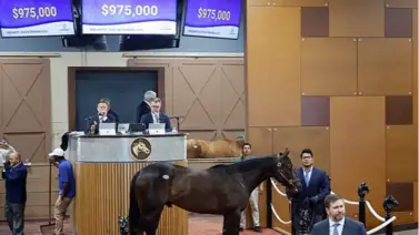 Propietario ganador del Kentucky Derby con yunta venezolana adquirió una pieza por $975.000 Propietario ganador del Kentucky Derby con yunta venezolana adquirió una pieza por $975.000