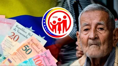 Pensión IVSS