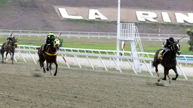 La jugada maestra: Entrenador presenta dos ejemplares que son claves para la R19 (+Video) La jugada maestra: Entrenador presenta dos ejemplares que son claves para la R19 (+Video)