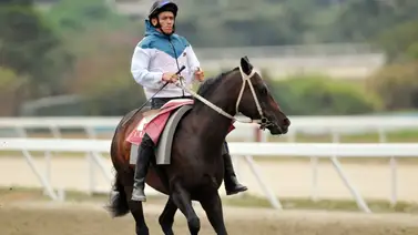 José Gilberto Hernández considera que tiene varios ejemplares con opción al triunfo en la R19 (+Video) José Gilberto Hernández considera que tiene varios ejemplares con opción al triunfo en la R19 (+Video)
