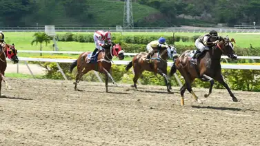 Con excelente descargo y ajuste cómodo a esta yegua no la puedes dejar fuera de ninguna combinación en la R19 Con excelente descargo y ajuste cómodo a esta yegua no la puedes dejar fuera de ninguna combinación en la R19