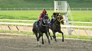 Como ajustó este ejemplar puede repetir victoria a pesar de que reaparece en La Rinconada Como ajustó este ejemplar puede repetir victoria a pesar de que reaparece en La Rinconada