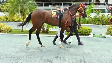 El miércoles 21 de mayo fue clave en La Rinconada: Aquí revelamos el mejor ajuste entre múltiples datos El miércoles 21 de mayo fue clave en La Rinconada: Aquí revelamos el mejor ajuste entre múltiples datos