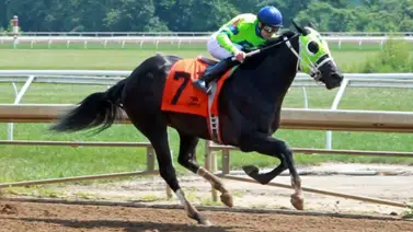 José Armando Bracho se acerca a las 800 victorias como profesional en Estados Unidos José Armando Bracho se acerca a las 800 victorias como profesional en Estados Unidos
