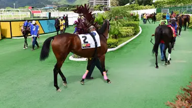 Si Predador y Portofino no son de tu agrado: Aquí hay una opción de altos dividendos Si Predador y Portofino no son de tu agrado: Aquí hay una opción de altos dividendos