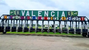 Datos de última hora para el Hipódromo Nacional de Valencia 23-5-2025 (Viernes) Datos de última hora para el Hipódromo Nacional de Valencia 23-5-2025 (Viernes)