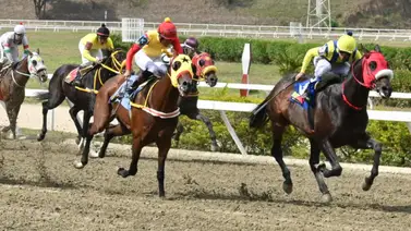 Descubre a esta hora el ajuste que dejó la gran opción de la Gaceta Hípica para el 5y6 de La Rinconada Descubre a esta hora el ajuste que dejó la gran opción de la Gaceta Hípica para el 5y6 de La Rinconada