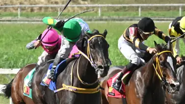 Aquí tienes una yegua que se destacó con uno de los mejores ajustes y es la que te puede potenciar tu jugada para el 5y6 sabatino Aquí tienes una yegua que se destacó con uno de los mejores ajustes y es la que te puede potenciar tu jugada para el 5y6 sabatino