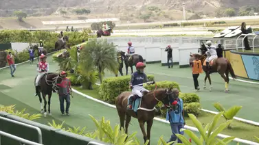 Aficionado hípico: Aquí te revelamos el "dato de los vivitos" que es clave para su estreno en el juego del 5y6 sabatino Aficionado hípico: Aquí te revelamos el "dato de los vivitos" que es clave para su estreno en el juego del 5y6 sabatino