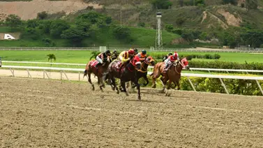 Datos de Última Hora para el Hipódromo La Rinconada 24-5-2024 Datos de Última Hora para el Hipódromo La Rinconada 24-5-2024