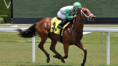 Edgard Zayas se destacó con "cuadruple" de victorias y se mantiene en la cima del Royal Palm Meet