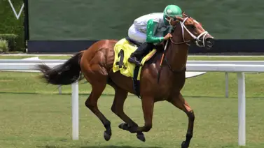 Edgard Zayas se destacó con "cuadruple" de victorias y se mantiene en la cima del Royal Palm Meet Edgard Zayas se destacó con "cuadruple" de victorias y se mantiene en la cima del Royal Palm Meet