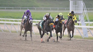 Sábado de hipismo en la Rinconada
