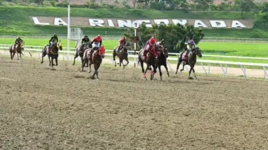 Monto sellado del 5y6 nacional llega por primera vez a los 76 millones de bolívares Monto sellado del 5y6 nacional llega por primera vez a los 76 millones de bolívares