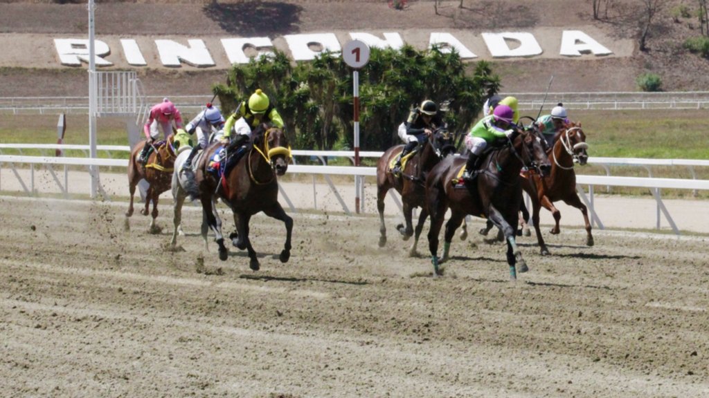 Así quedaron los resultados de las carreras en La Rinconada 24-5-2025