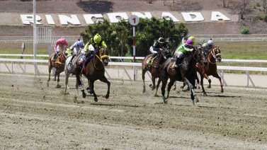 Así quedaron los resultados de las carreras en La Rinconada 24-5-2025