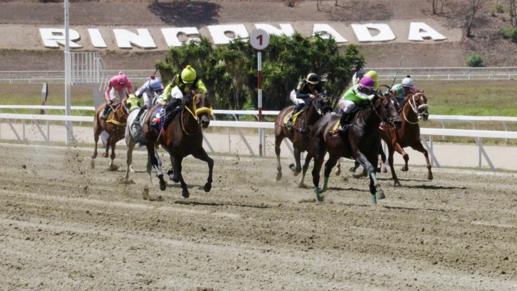 Así quedaron los resultados de las carreras en La Rinconada 24-5-2025