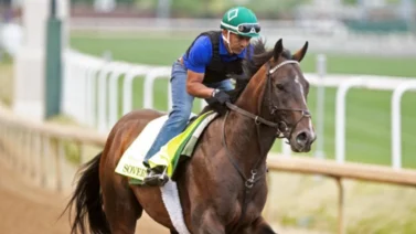 Soreverignty lidera los entrenamientos de cara al Belmont Stakes