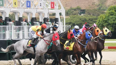 Comisarios del INH multan a este jockey ganador de meeting por uso excesivo del látigo