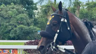 El consejo que le dio Emisael Jaramillo a Carlos Uzcátegui sobre Fleet Street para que ganará El consejo que le dio Emisael Jaramillo a Carlos Uzcátegui sobre Fleet Street para que ganará