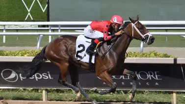 Aprendiz criollo logra segunda victoria de su carrera en Estados Unidos Aprendiz criollo logra segunda victoria de su carrera en Estados Unidos