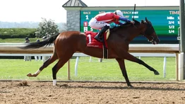 Irad Ortiz Jr. se queda con seis carreras el fin de semana y se acerca a las 4,200 victorias
