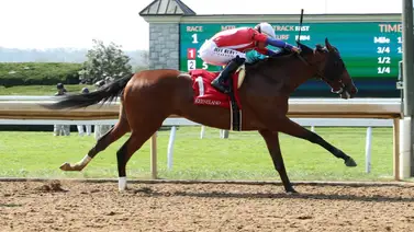 Irad Ortiz Jr. se queda con seis carreras el fin de semana y se acerca a las 4,200 victorias Irad Ortiz Jr. se queda con seis carreras el fin de semana y se acerca a las 4,200 victorias