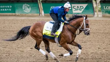 Ganador del Kentucky Derby regresa este sábado en el hipódromo de Churchill Downs Ganador del Kentucky Derby regresa este sábado en el hipódromo de Churchill Downs