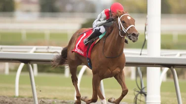 Mychel Sánchez cierra con victoria el domingo en Laurel Park 