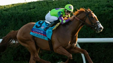 Ganador de tres Stakes de Grado 1 es comprado para correr en la jornada de la Royal Ascot