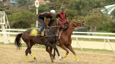 Vuelve el talento: Jinete aprendiz con más de 40 victorias corre este domingo en La Rinconada