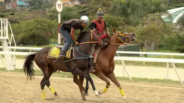 Vuelve el talento: Jinete aprendiz con más de 40 victorias corre este domingo en La Rinconada Vuelve el talento: Jinete aprendiz con más de 40 victorias corre este domingo en La Rinconada