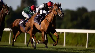 Es retirado hijo de Galileo y ganador de ocho pruebas de Grado 1 por una lesión Es retirado hijo de Galileo y ganador de ocho pruebas de Grado 1 por una lesión