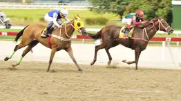 Lista para correr: La hija del doble coronado Quick Mani retorna a la pista tras 497 días
