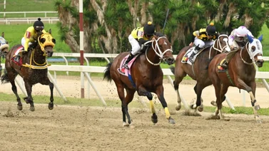Hijo de Constructor White esta listo para retomar su carrera pistera en La Rinconada luego de 112 días 