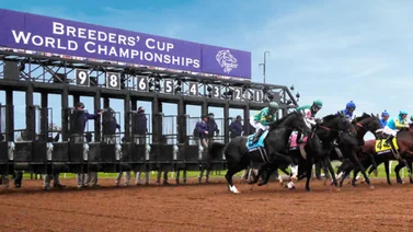 Estas son las nuevas sedes de la Breeders' Cup  para el 2026 y 2027