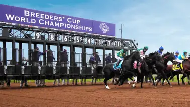 Estas son las nuevas sedes de la Breeders' Cup  para el 2026 y 2027 Estas son las nuevas sedes de la Breeders' Cup  para el 2026 y 2027