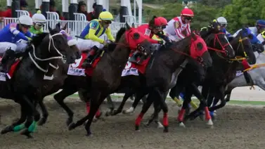Debut a la expectativa: Entrenador que recibió aprendizaje con la dinastía D'Angelo debuta con un ejemplar para la R20 (+Video) Debut a la expectativa: Entrenador que recibió aprendizaje con la dinastía D'Angelo debuta con un ejemplar para la R20 (+Video)