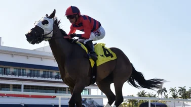 Emisael Jaramillo por la victoria 1.800 este fin de semana en Gulfstream Park