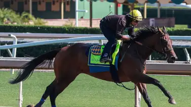 Hija de Cacciatora tiene nombre y está próxima a debutar Hija de Cacciatora tiene nombre y está próxima a debutar